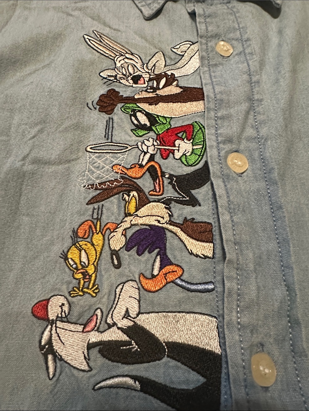 Warner Bros. Light Blue Denim Button-Down Shirt with Looney Tunes Embroidery
